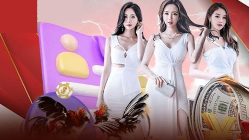 Chính Sách Bảo Mật King88 | Quy Định Mà Cược Thủ Cần Nắm 2 Mã hóa SSL và bảo vệ giao dịch tài chính